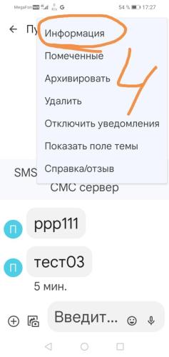 смс_04